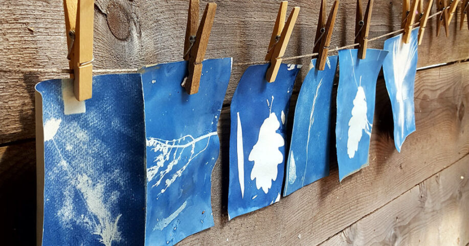 نمونه چاپ سیانوتایپ