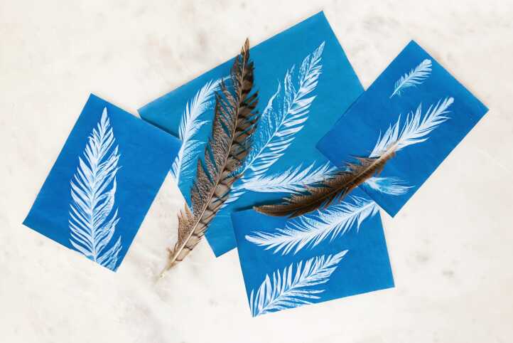 نمونه چاپ سیانوتایپ