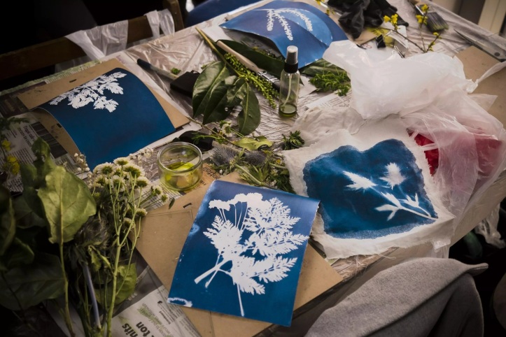 نمونه چاپ سیانوتایپ