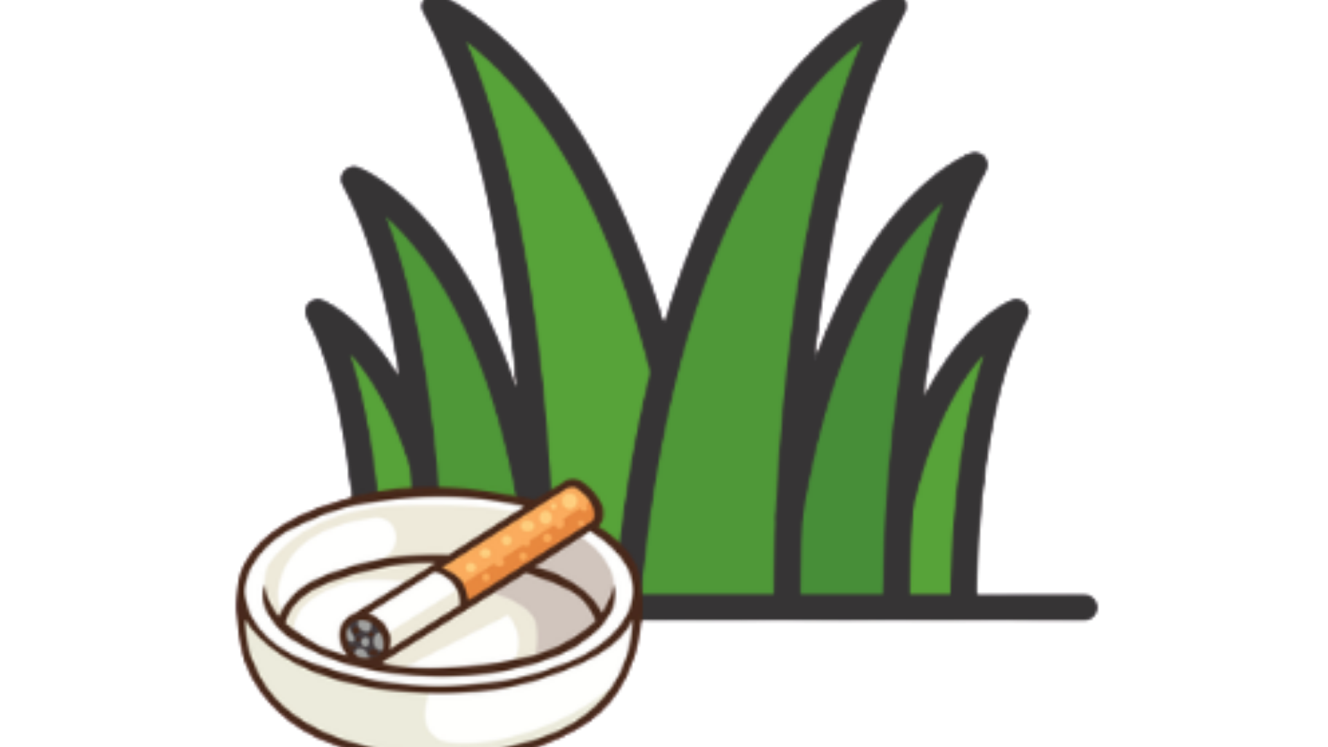 list item image