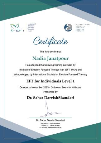 دوره بین المللی درمان هیجان-سطح 1